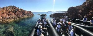 Taxi Boat Semi Rigide Skipper Cannes Monaco Saint Tropez